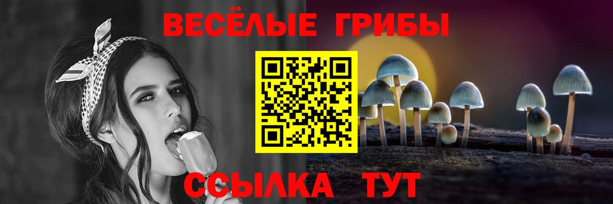 Галлюциногенные грибы Psilocybe Тула